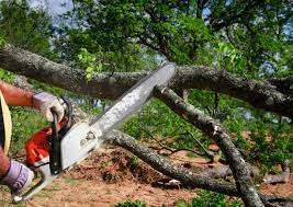 Best Commercial Tree Services  in Greenwood, LA